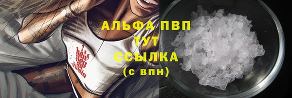 амф Верея
