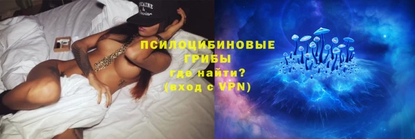 амф Верея