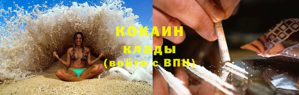 амф Верея
