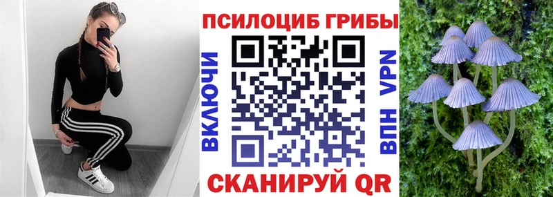 Галлюциногенные грибы GOLDEN TEACHER  Славянск-на-Кубани 